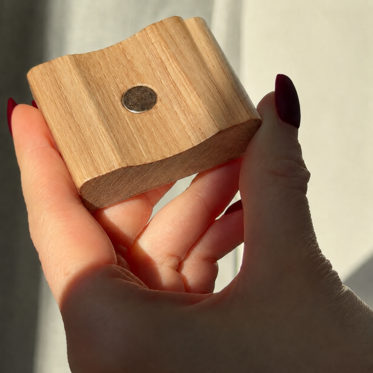 Børnenes magnetiske skohorn