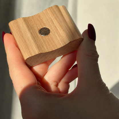 Børnenes magnetiske skohorn